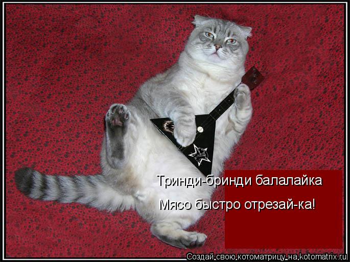 Тринди-бринди балалайка Мясо быстро отрезай-ка!... Котоматрица: Тринди-бринди балалайка Мясо быстро отрезай-ка!