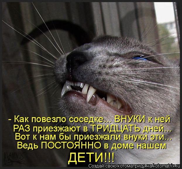 - Как повезло соседке... ВНУКИ к ней РАЗ приезжают в ТРИДЦАТЬ дней... Вот к нам бы приезжали внуки эт... Котоматрица: - Как повезло соседке... ВНУКИ к ней РАЗ приезжают в ТРИДЦАТЬ дней... Вот к нам бы приезжали внуки эти... Ведь ПОСТОЯННО в доме нашем ДЕТИ!!!