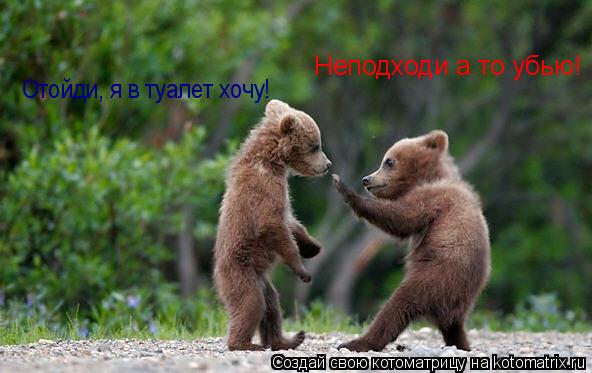 Неподходи а то убью! Отойди, я в туалет хочу!... Котоматрица: Неподходи а то убью! Отойди, я в туалет хочу!