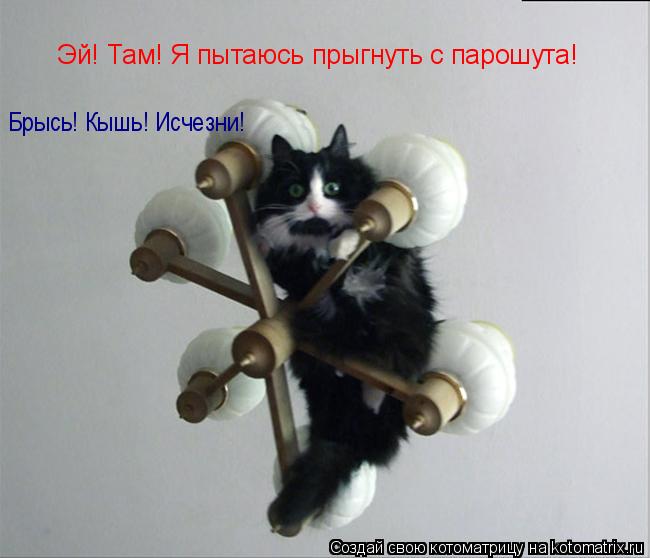 Эй! Там! Я пытаюсь прыгнуть с парошута! Брысь! Кышь! Исчезни!... Котоматрица: Эй! Там! Я пытаюсь прыгнуть с парошута! Брысь! Кышь! Исчезни!