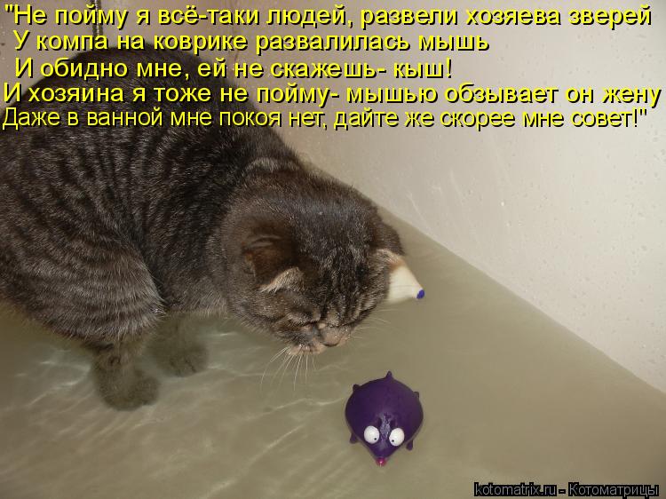 "Не пойму я всё-таки людей, развели хозяева зверей У компа на коврике развалилась мышь И обидно мне, ... Котоматрица: "Не пойму я всё-таки людей, развели хозяева зверей У компа на коврике развалилась мышь И обидно мне, ей не скажешь- кыш! И хозяина я тоже не по