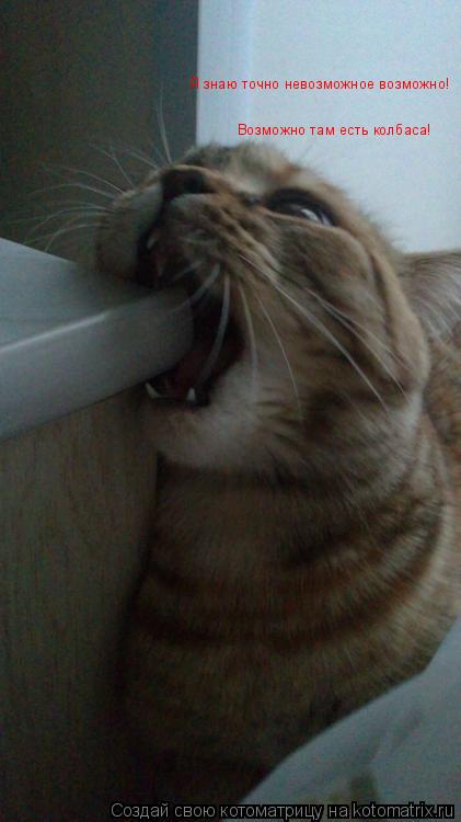 Я знаю точно невозможное возможно! Возможно там есть колбаса!... Котоматрица: Я знаю точно невозможное возможно! Возможно там есть колбаса!