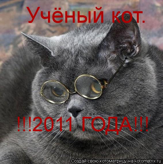 Учёный кот. !!!2011 ГОДА!!!... Котоматрица: Учёный кот. !!!2011 ГОДА!!!
