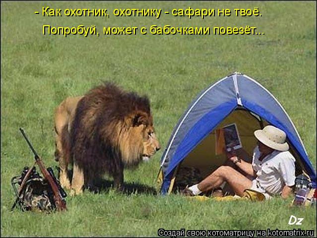 - Как охотник, охотнику - сафари не твоё. Попробуй, может с бабочками повезёт...... Котоматрица: - Как охотник, охотнику - сафари не твоё. Попробуй, может с бабочками повезёт...