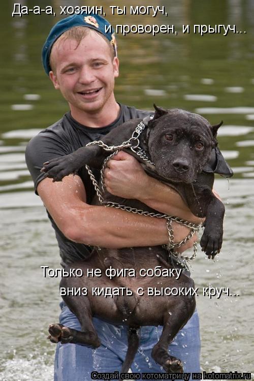 Да-а-а, хозяин, ты могуч, и проворен, и прыгуч... Только не фига собаку вниз кидать с высоких круч.... Котоматрица: Да-а-а, хозяин, ты могуч, и проворен, и прыгуч... Только не фига собаку вниз кидать с высоких круч...