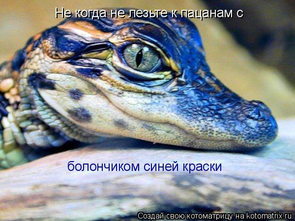 Не когда не лезьте к пацанам с болончиком синей краски... Котоматрица: Не когда не лезьте к пацанам с болончиком синей краски