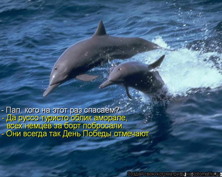 - Пап, кого на этот раз спасаем? - Да руссо туристо облик аморале, всех немцев за борт побросали. - О... Котоматрица: - Пап, кого на этот раз спасаем? - Да руссо туристо облик аморале, всех немцев за борт побросали. - Они всегда так День Победы отмечают.