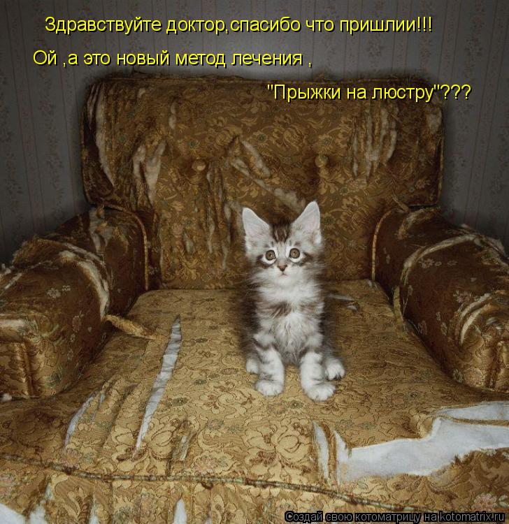 Здравствуйте доктор,спасибо что пришлии!!! Ой ,а это новый метод лечения ,"Прыганье на люсттру"??? Ой... Котоматрица: Здравствуйте доктор,спасибо что пришлии!!! Ой ,а это новый метод лечения ,"Прыганье на люсттру"??? Ой ,а это новый метод лечения , "Прыжки на люс