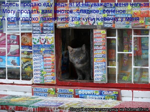 Котоматрица: Здесь продаю еду ведь я! И НЕуважать меня нельзя Могу продать вам многое, сладкое, соленое А если плохо пахнет изо рта купи жевачку у меня