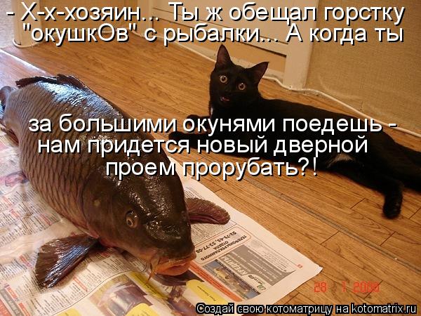 - Х-х-хозяин... Ты ж обещал горстку "окушкОв" с рыбалки... А когда ты за большими окунями поедешь - ... Котоматрица: - Х-х-хозяин... Ты ж обещал горстку "окушкОв" с рыбалки... А когда ты за большими окунями поедешь - нам придется новый дверной проем прорубать?!