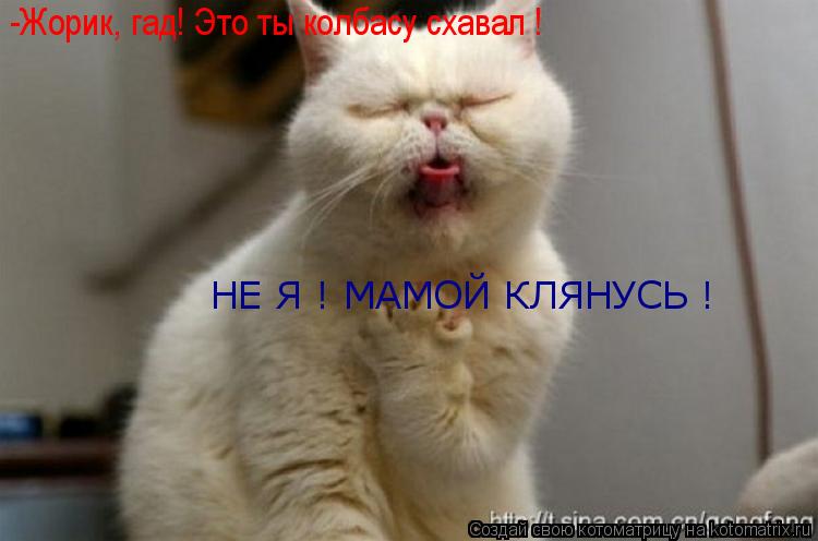 -Жорик, гад! Это ты колбасу схавал ! НЕ Я ! МАМОЙ КЛЯНУСЬ !... Котоматрица: -Жорик, гад! Это ты колбасу схавал ! НЕ Я ! МАМОЙ КЛЯНУСЬ !