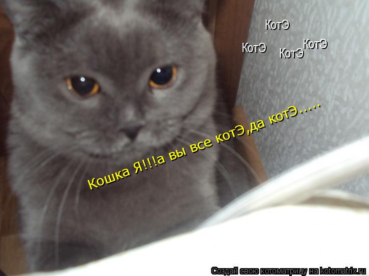 КотЭ КотЭ КотЭ КотЭ Кошка Я!!!а вы все котЭ,да котЭ........ Котоматрица: КотЭ КотЭ КотЭ КотЭ Кошка Я!!!а вы все котЭ,да котЭ.....