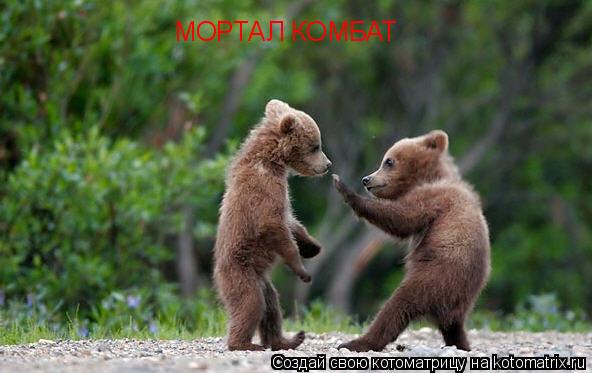 МОРТАЛ КОМБАТ... Котоматрица: МОРТАЛ КОМБАТ