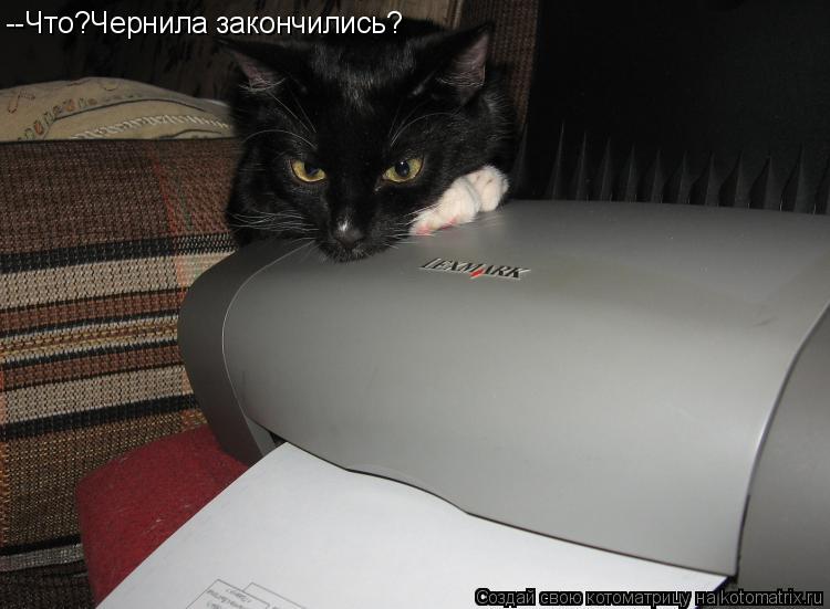 --Что?Чернила закончились?... Котоматрица: --Что?Чернила закончились?
