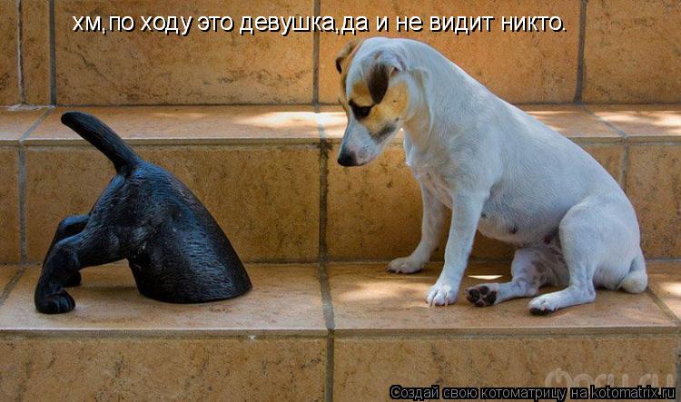 Котоматрица: хм,по ходу это девушка,да и не видит никто. хм,по ходу это девушка,да и не видит никто.