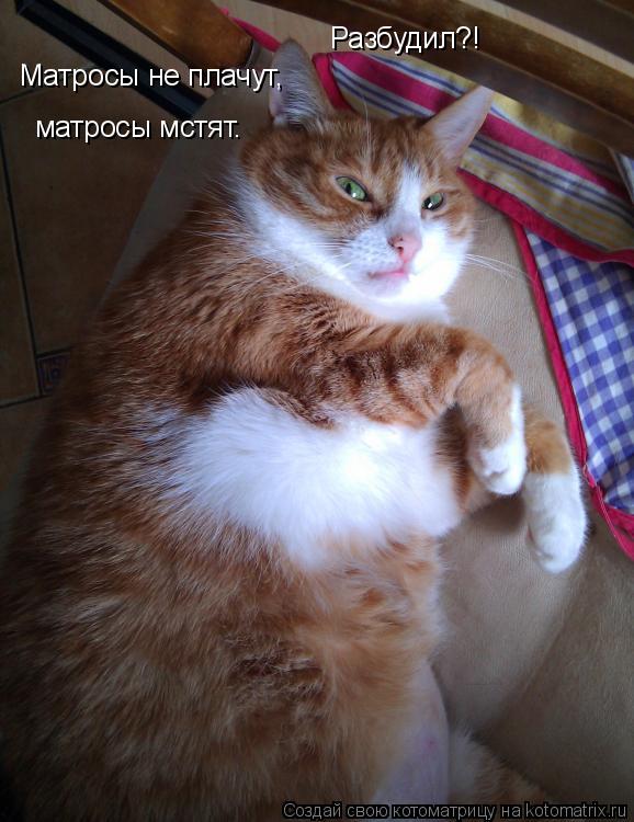 Разбудил?! Матросы не плачут, матросы мстят.... Котоматрица: Разбудил?! Матросы не плачут, матросы мстят.