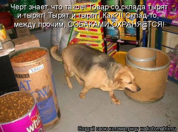 Черт знает, что такое! Товар со склада тырят и тырят! Тырят и тырят! Как?!! Склад-то, между прочим, ... Котоматрица: Черт знает, что такое! Товар со склада тырят и тырят! Тырят и тырят! Как?!! Склад-то, между прочим, СОБАКАМИ ОХРАНЯЕТСЯ!