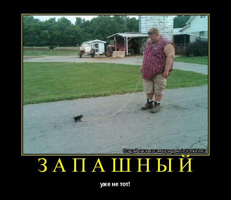 запашный уже не тот!... Котоматрица: запашный уже не тот!