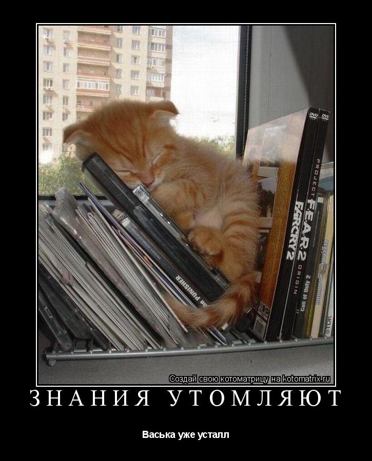 ЗНАНИЯ УТОМЛЯЮТ Васька уже усталл... Котоматрица: ЗНАНИЯ УТОМЛЯЮТ Васька уже усталл