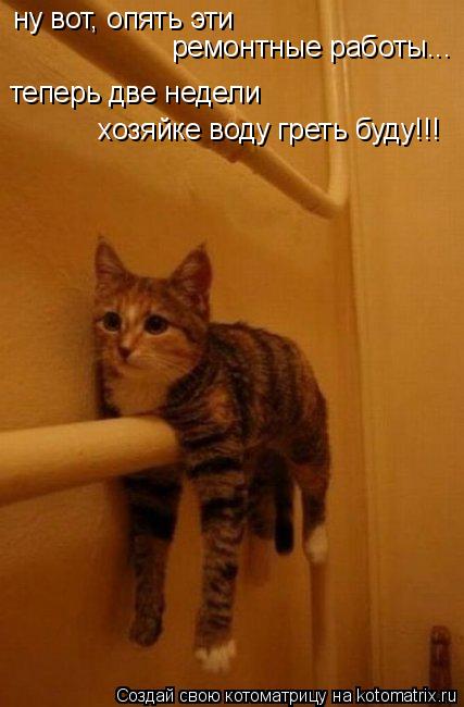 ну вот, опять эти ремонтные работы... теперь две недели хозяйке воду греть буду!!!... Котоматрица: ну вот, опять эти ремонтные работы... теперь две недели хозяйке воду греть буду!!!