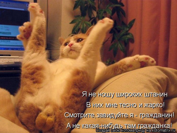 Я не ношу широких штанин В них мне тесно и жарко! Смотрите,завидуйте я - гражданин! A не какая-нибудь... Котоматрица: Я не ношу широких штанин В них мне тесно и жарко! Смотрите,завидуйте я - гражданин! A не какая-нибудь там гражданка!
