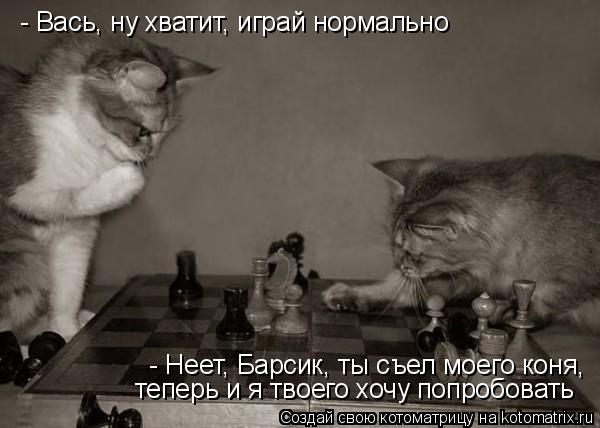 - Вась, ну хватит, играй нормально - Неет, Барсик, ты съел моего коня, теперь и я твоего хочу попробо... Котоматрица: - Вась, ну хватит, играй нормально - Неет, Барсик, ты съел моего коня, теперь и я твоего хочу попробовать