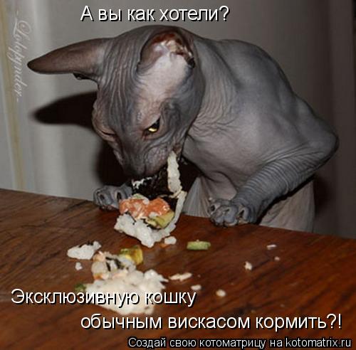 А вы как хотели? обычным вискасом кормить?! Эксклюзивную кошку... Котоматрица: А вы как хотели? обычным вискасом кормить?! Эксклюзивную кошку