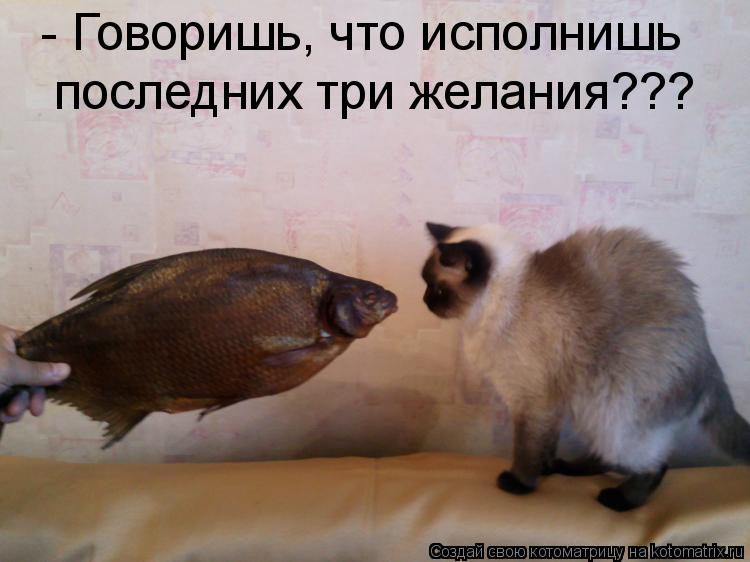 - Говоришь, что исполнишь последних три желания???... Котоматрица: - Говоришь, что исполнишь последних три желания???
