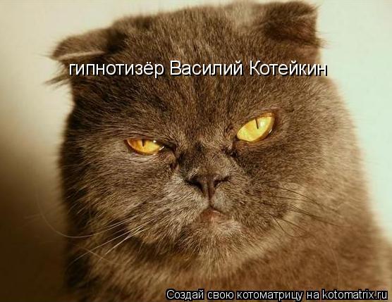 гипнотизёр Василий Котейкин... Котоматрица: гипнотизёр Василий Котейкин