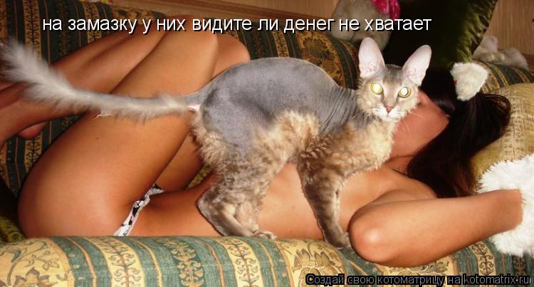 на замазку у них видите ли денег не хватает... Котоматрица: на замазку у них видите ли денег не хватает