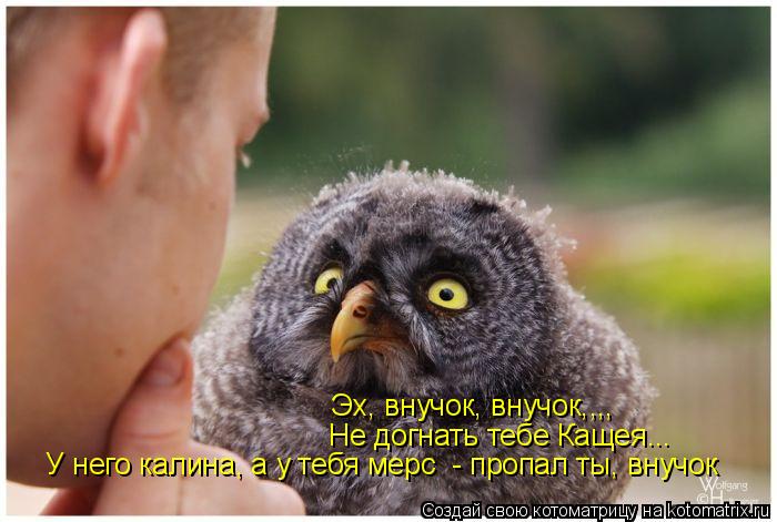 Эх, внучок, внучок,,,, Не догнать тебе Кащея... У него калина, а у тебя мерс - пропал ты, внучок... Котоматрица: Эх, внучок, внучок,,,, Не догнать тебе Кащея... У него калина, а у тебя мерс - пропал ты, внучок