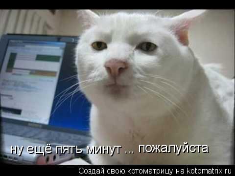 ну ещё пять минут ... пожалуйста... Котоматрица: ну ещё пять минут ... пожалуйста