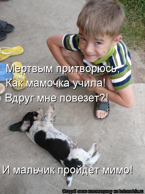 Мертвым притворюсь, Как мамочка учила! Вдруг мне повезет?! И мальчик пройдет мимо!... Котоматрица: Мертвым притворюсь, Как мамочка учила! Вдруг мне повезет?! И мальчик пройдет мимо!
