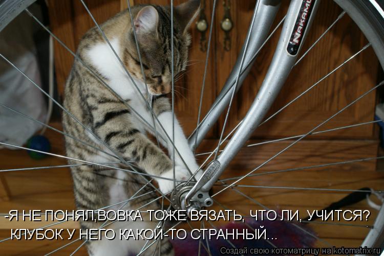 -Я НЕ ПОНЯЛ,ВОВКА ТОЖЕ ВЯЗАТЬ, ЧТО ЛИ, УЧИТСЯ? КЛУБОК У НЕГО КАКОЙ-ТО СТРАННЫЙ...... Котоматрица: -Я НЕ ПОНЯЛ,ВОВКА ТОЖЕ ВЯЗАТЬ, ЧТО ЛИ, УЧИТСЯ? КЛУБОК У НЕГО КАКОЙ-ТО СТРАННЫЙ...
