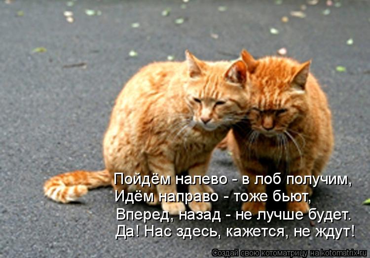 Да! Нас здесь, кажется, не ждут! Идём направо - тоже бьют, Вперед, назад - не лучше будет. Пойдём нал... Котоматрица: Да! Нас здесь, кажется, не ждут! Идём направо - тоже бьют, Вперед, назад - не лучше будет. Пойдём налево - в лоб получим,