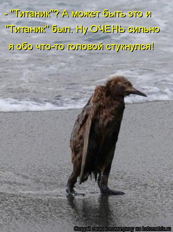 "Титаник" был. Ну ОЧЕНЬ сильно - "Титаник"? А может быть это и я обо что-то головой стукнулся!... Котоматрица: "Титаник" был. Ну ОЧЕНЬ сильно - "Титаник"? А может быть это и я обо что-то головой стукнулся!