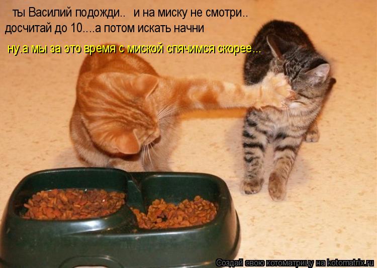 ты Василий подожди.. и на миску не смотри.. ну.а мы за это время с миской спячимся скорее... досчитай... Котоматрица: ты Василий подожди.. и на миску не смотри.. ну.а мы за это время с миской спячимся скорее... досчитай до 10....а потом искать начни