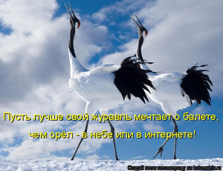 Пусть лучше свой журавль мечтает о балете, чем орёл - в небе или в интернете!... Котоматрица: Пусть лучше свой журавль мечтает о балете, чем орёл - в небе или в интернете!