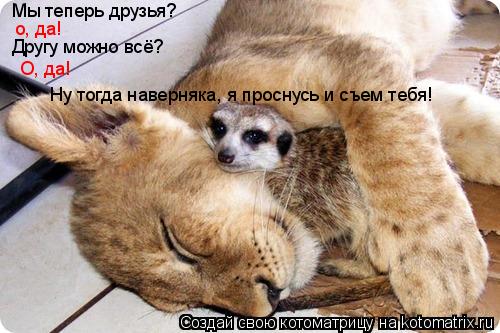 Мы теперь друзья? о, да! Другу можно всё? О, да! Ну тогда наверняка, я проснусь и съем тебя!... Котоматрица: Мы теперь друзья? о, да! Другу можно всё? О, да! Ну тогда наверняка, я проснусь и съем тебя!