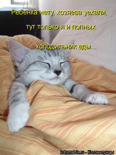 Ребёнка нету, хозяева уехали, тут только я и полных холодильник еды... холодильник еды... холодильни... Котоматрица: Ребёнка нету, хозяева уехали, тут только я и полных холодильник еды... холодильник еды... холодильник еды...