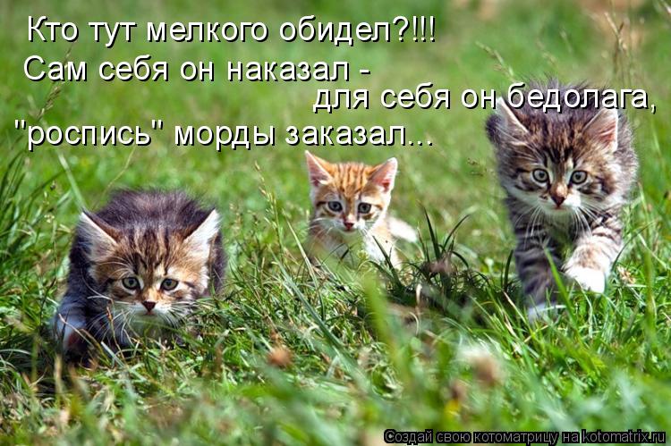 Кто тут мелкого обидел?!!! Сам себя он наказал - для себя он бедолага, "роспись" морды заказал...... Котоматрица: Кто тут мелкого обидел?!!! Сам себя он наказал - для себя он бедолага, "роспись" морды заказал...