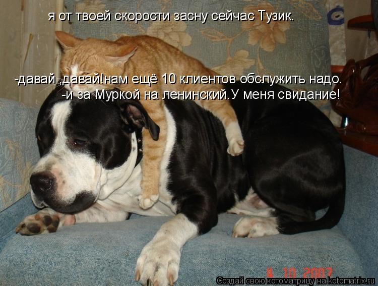 я от твоей скорости засну сейчас Тузик. -давай ,давай!нам ещё 10 клиентов обслужить надо. -давай ,дав... Котоматрица: я от твоей скорости засну сейчас Тузик. -давай ,давай!нам ещё 10 клиентов обслужить надо. -давай ,давай!нам ещё 10 клиентов обслужить надо. -и за