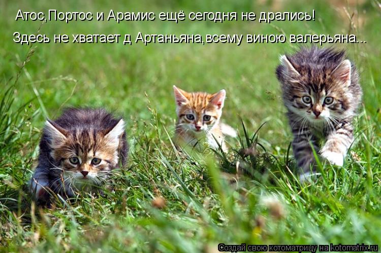 Атос,Портос и Арамис ещё сегодня не дрались! Здесь не хватает д Артаньяна,всему виною валерьяна...... Котоматрица: Атос,Портос и Арамис ещё сегодня не дрались! Здесь не хватает д Артаньяна,всему виною валерьяна...