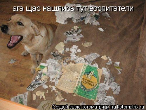 ага щас нашлись тут воспитатели... Котоматрица: ага щас нашлись тут воспитатели