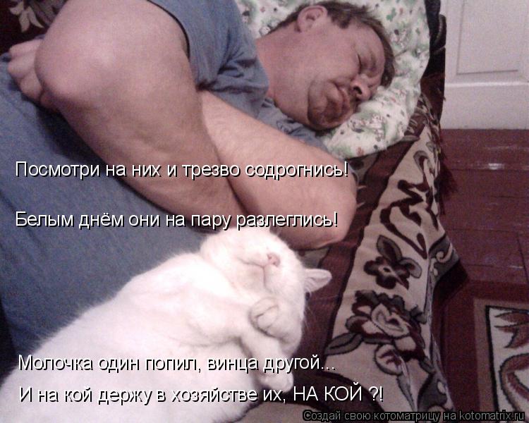 Посмотри на них и трезво содрогнись! Белым днём они на пару разлеглись! Молочка один попил, винца дру... Котоматрица: Посмотри на них и трезво содрогнись! Белым днём они на пару разлеглись! Молочка один попил, винца другой... И на кой держу в хозяйстве их, НА К