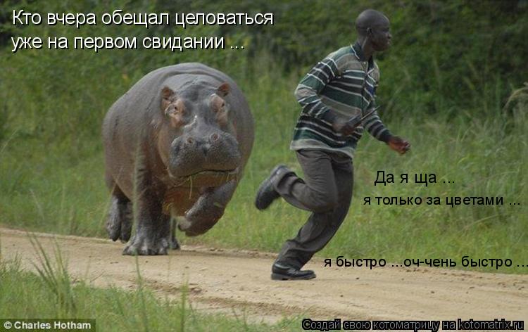 Кто вчера обещал целоваться уже на первом свидании ... Да я ща ... я только за цветами ... я быстро .... Котоматрица: Кто вчера обещал целоваться уже на первом свидании ... Да я ща ... я только за цветами ... я быстро ...оч-чень быстро ...