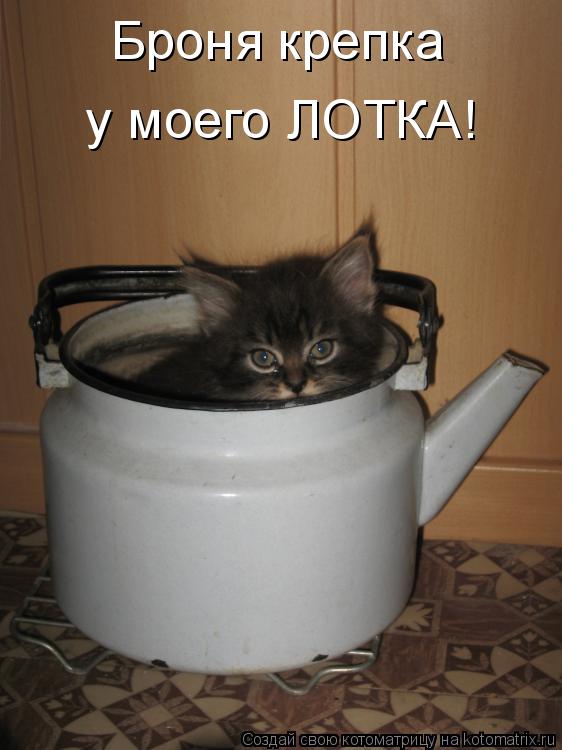 Броня крепка у моего ЛОТКА!... Котоматрица: Броня крепка у моего ЛОТКА!
