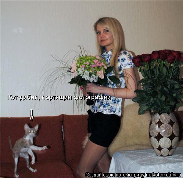 Кот-дибил, портящий фотографии \/ ||... Котоматрица: Кот-дибил, портящий фотографии \/ ||