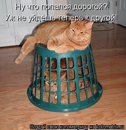 Ну что попался,дорогой? Уж не уйдёшь теперь к другой!... Котоматрица: Ну что попался,дорогой? Уж не уйдёшь теперь к другой!