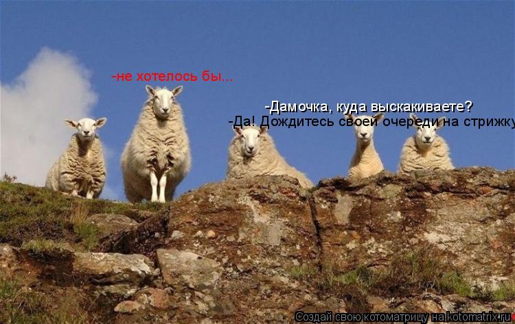 -Дамочка, куда выскакиваете? -Да! Дождитесь своей очереди на стрижку! -не хотелось бы...... Котоматрица: -Дамочка, куда выскакиваете? -Да! Дождитесь своей очереди на стрижку! -не хотелось бы...